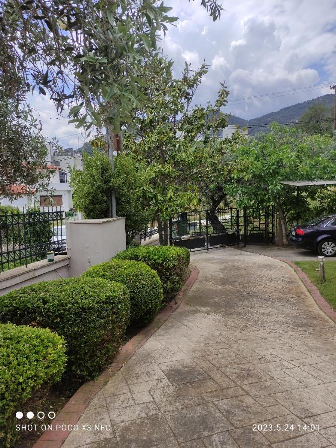 Garden House Villa ปาเลออน ซิฟลิคิออน ภายนอก รูปภาพ